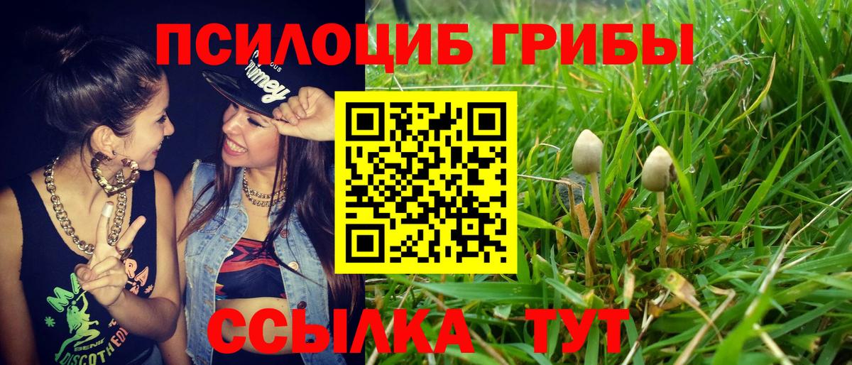 Сегежа  Псилоцибиновые грибы MAGIC MUSHROOMS  Вход с VPN 